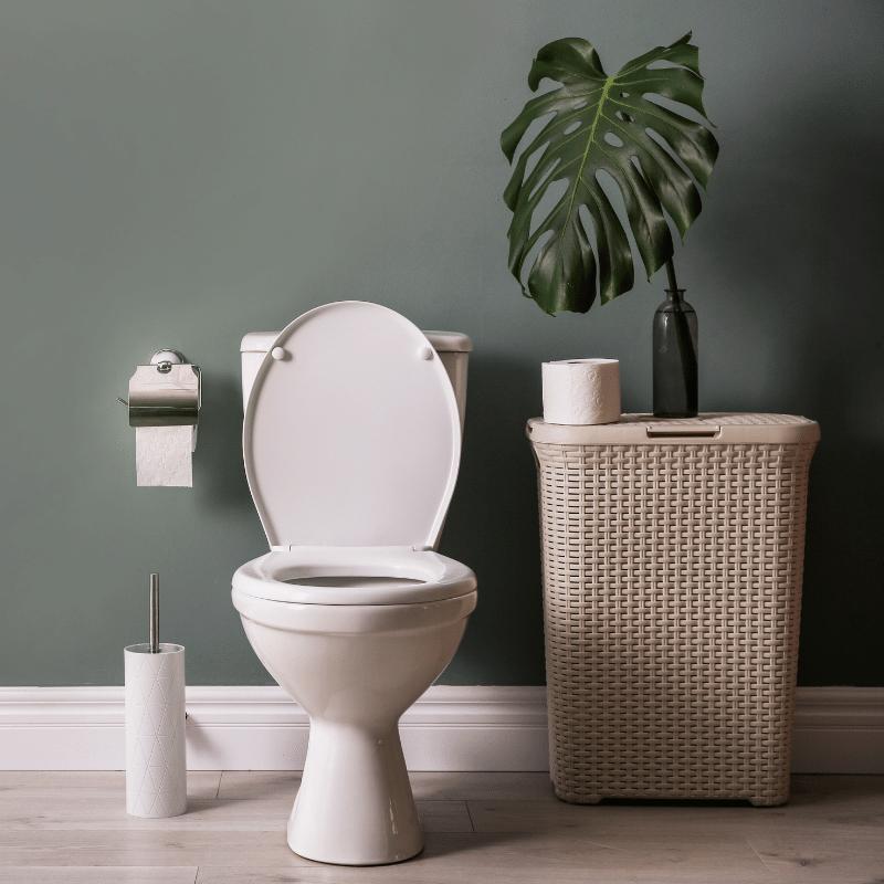 Back-to-wall toilets