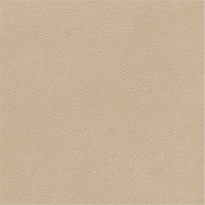 Archicross Base Beige Structure A face, R11