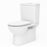 Essence Floor Mounted Toilet