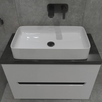 Pasana Countertop Washbasin on Vanity Unit 