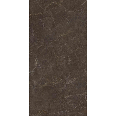 Eloria Brown Structure Matt 120x60cm - shade variant