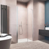 Eos DWS Chrome Shower Door