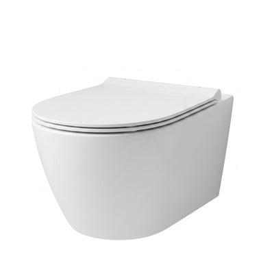 Andromeda Rimless Wall Hung Toilet