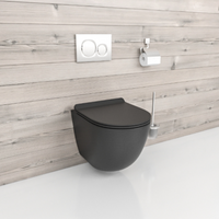 Rimless Wall Hung Toilet - B2376 MINI Matt Black