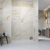 Radaway NES DWS Chrome Shower Door