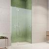 Torrenta DWJ Hinged Chrome Shower Door - an Overview