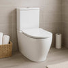 Nova Close Coupled Toilet