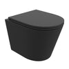 black mat wall hung toilet