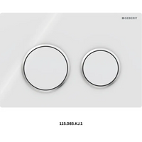 Omega 20 Flush plate - White & Chrome - Geberit