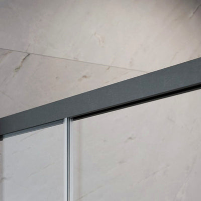 IDEA 8 DWD Shower Door - Brushed Gunmetal