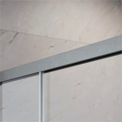 IDEA 8 DWD Shower Door - Brushed Nickel