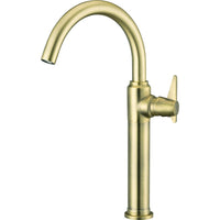 Temisto Washbasin tap, tall - brass - BQT_M20K - Deante Kitchen Tap