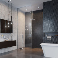 Modo XL 10mm Walk-In Screen - Chrome